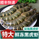 【順豐快遞】蝦 黑虎蝦超大新鮮黑虎蝦鮮活大蝦海鮮海蝦草蝦冷 3盒裝 1050克(凈重)  單只13-15厘米【每盒約16只】