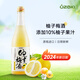 大關日本原裝進口洋酒 梅酒 梅子酒 果酒甜酒大關牌 柚子梅酒500ml（2024年新日期）