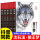 【官方正版】狼王夢完整版全套5冊沈石溪動物小說小學生四五六年級課外閱讀書籍沈石溪7-14歲系列兒童文學課外閱讀 【全5冊】狼王夢