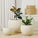 乾龍躍奶油風(fēng)半圓輕奢高級感花盆大號黑金剛橡皮樹(shù)百合竹家用鎂泥大花盆 米色 26*26*20 cm(寬 高)