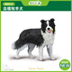 COLLECT英國CollectA我你他仿真農場(chǎng)動(dòng)物模型玩具狗80012邊境牧羊犬2024