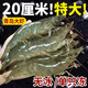 鮮拔頭籌蝦 青島大蝦基圍蝦速凍海捕青蝦白蝦海蝦對蝦冰蝦凍蝦年貨送禮 3.3斤(凈重)  鹽凍 13-15厘米