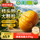 京東京造有機板栗仁1kg(10袋)山姆同款即食栗子堅果炒貨充饑休閑零食團購
