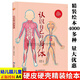 正版 認識自己的身體 關于五官的繪本我啟蒙認知耳朵鼻子眼睛的秘密精裝硬殼繪本閱讀幼兒園 小班兒童繪本3–6歲中班硬皮故事書幼兒大班 【單冊】認識自己的身體