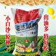 山東小白沙花生種子帶殼花生米小果特好吃原種花生種孑出油高批發(fā) 山東小白沙/小果特好吃 帶殼原種  五斤