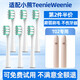 美天萊適配小熊TeenieWeenie電動(dòng)牙刷頭T02成人替換頭柔軟杜邦刷毛 白色清潔型6支裝