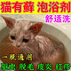 帥哲貓?zhí)\藥浴貓咪專用貓癬驅(qū)蟲跳蚤皮膚病脫毛禿濕疹紅疹幼貓外用洗澡 1瓶裝