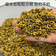 黑金雙色泡泡球魚(yú)餌回鍋魚(yú)老滑魚(yú)偷驢餌料滑魚(yú)豆耐打耐泡浮水顆粒