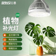 三思植物補(bǔ)光燈仿太陽室內(nèi)全光譜植物生長燈多肉補(bǔ)光燈太陽燈魚缸燈 【帶白燈夾】15W植物燈全光譜