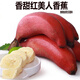 （現(xiàn)摘/土樓）特級(jí)紅美人香蕉 紅皮香蕉新鮮孕婦水果9斤大芭蕉粉蕉咖啡蕉自然熟紅焦 特級(jí)紅香蕉 2500g