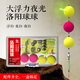 川品社洛陽(yáng)球球釣組夜光漂電子漂逗釣浮球路亞升級(jí)套裝浮釣草魚自動(dòng)找底 【夜光全能版球漂】 套裝