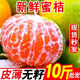 爾蝶云南蜜桔橘子10斤高山青皮酸桔子應(yīng)季時令水果孕婦生鮮整箱批發(fā) 精選9斤裝 凈重8.5斤
