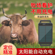尋蹤者定位器牛羊放牧專用防丟防水草原山區(qū)追蹤神器追跟遠(yuǎn)程衛(wèi)星定位 4G牛羊太陽能雙星北斗定位免5年