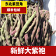 東北特產(chǎn)大紫袍豆角蕓豆新鮮蔬菜農家肥自種凍死鬼紫豆角 五斤紫豆角