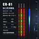 黃金眼變色夜光漂鯽魚(yú)羅非電子漂浮漂醒目日夜兩用硬尾長(cháng)身短腳夜釣漂身 CR-01 吃鉛約1.68g （咬鉤變色）防爆硬尾一支裝