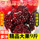 突尼斯軟籽石榴10斤新鮮水果應當季四川會(huì )理紅寶石榴果汁無(wú)籽禮盒 【大果裝】6-7兩 品質(zhì)升級 9斤
