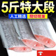 果匯堂帶魚段舟山小眼帶魚新鮮海捕東海刀魚特大帶魚段中段 5斤大段 中段