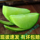 鹿凌青水果蘿卜正宗濰坊綠蘿卜新鮮甜脆維縣蘿卜當(dāng)季蔬菜現(xiàn)挖生吃蘿卜 3斤品嘗精品果3斤