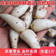 囧仙子藠頭新鮮四川茭頭農(nóng)家自種新鮮蕎頭叫頭大教頭 蕎頭 5斤裝