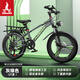 鳳凰山地自行車(chē)男女變速山地車(chē)碟剎青少年兒童自行車(chē)學(xué)生單車(chē) 星際3 21速三刀輪【鋁架】灰綠 22英寸（建議身高140-170cm）