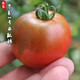 密洋青禾（MIYANGQINGHE）密云草莓西紅柿 京采西紅柿 水果番茄酸甜多汁 鐵皮柿子 現摘現發(fā) 京采8號西紅柿 5斤 2000g四斤裝