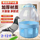 鵬實(shí)鴿具信鴿用品用具/賽鴿用具/飲水器/水壺/鴿子用水槽鳥用水壺水桶 6升優(yōu)質(zhì)透明飲水壺