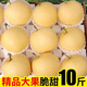 谷真正宗皇冠梨10斤整箱脆梨當(dāng)季皮薄新鮮水果多汁梨子酥脆河北皇冠梨 精選 皇冠梨 帶箱9-10斤裝