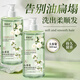 歐麗琦山茶花洗發(fā)水男女通用持久留香清爽潔凈無硅油洗頭膏沐浴露套裝 山茶花洗發(fā)水500mlx2瓶
