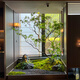 仿真馬醉木櫥窗造景植物室內(nèi)高端仿生綠植裝飾樹大型假樹簡(jiǎn)約景觀 定制尺寸