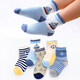 塔曼貓【5雙】?jì)和m子春秋冬季棉襪男童女童中大童小童中筒秋季小孩卡通薄款寶寶嬰兒襪 5雙裝 帆船大海 8-12歲 34-38碼鞋 19-23cm