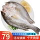 賣(mài)魚(yú)郎先生三去海鱸魚(yú) 凈重450-550g*3條裝 開(kāi)背鱸魚(yú)深海七星花鱸魚(yú)生鮮魚(yú)類(lèi) 開(kāi)背鱸魚(yú)450-550g*3條
