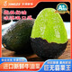 沐瑾秘魯進(jìn)口牛油果進(jìn)口酪梨鱷梨新鮮孕婦寶寶水果健身輕食一級果 商超A+級-【巨無(wú)霸180-230g】 10個(gè)裝