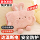 鴻辰熱水袋充電暖手寶暖寶寶防爆熱敷暖腹女生姨媽神器圣誕電熱暖水袋 粉色小兔【套袋+絲光熱水袋】