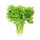 【有機(jī)】芹菜（西芹）400g