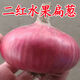 生吃脆甜山東扁洋蔥新鮮5斤裝粉紅皮洋蔥圓蔥農(nóng)家自種蔬菜現(xiàn)發(fā) 中果推薦購買 5斤