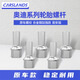 卡斯蘭適用奧迪A1/A2輪胎螺絲A3/A4/A4L/A5/A6/A6L/A7輪轂螺栓汽車用品 奧迪系列【實心款】5個裝