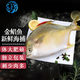 七冰東 金鯧魚 新鮮海捕特大號(hào)金鯧深海平魚金昌魚 海鮮水產(chǎn) 生鮮 魚類 凈重?zé)o冰 5條（800-900g/條）