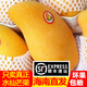 果戀匯（GUOLIANHUI）現(xiàn)貨海南三亞水仙芒新鮮特大芒果黃皮應(yīng)季水果當(dāng)季現(xiàn)摘整箱 凈重8斤特大果