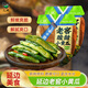 元池地窖酸甜小黃瓜300g東北延邊朝鮮族特產(chǎn)韓式泡菜腌菜下飯菜小咸菜 2袋裝