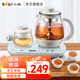 小熊（Bear）養(yǎng)生壺多功能燒水熱水壺中藥鍋燉煮一體機(jī)辦公室全自動恒溫花茶煮茶器ZCQ-A08E1 【養(yǎng)生壺套裝】煮茶保溫一體 0.8L