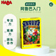 HABA德國兒童桌游4-8歲親子邏輯思維訓(xùn)練游戲棋303406阿魯巴入門禮物
