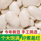 花色堂云南新貨白蕓豆白豆白云農(nóng)家自種大雪|粗糧干貨雜糧 手工挑選  白蕓豆(50克)