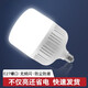 圣品頓LED燈泡E27螺口螺紋室外戶外照明防雨防水防塵防蟲超亮白光節(jié)能燈 5W-白光-E27螺口 裸燈