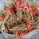 河源土特產(chǎn)野生竹葉白花牛奶樹(shù)根牛乳根廣東靚湯材料湯料 葉竹白花牛奶根500g