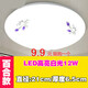 LED吸頂燈圓形臥室燈 過道廚房衛(wèi)生間燈具 現(xiàn)代簡約客廳燈房間燈 次臥陽臺餐廳燈具燈飾 百合款12W21cm(限一個(gè))