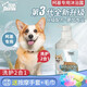 威爾遜饞嘴 柯基沐浴露專用狗狗洗澡用品寵物香波沐浴露 500ml+按摩刷+毛巾