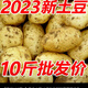 貴州威寧新鮮黃心大土豆家鄉的味道太莎太面太好吃放得久 土豆 10斤 精選大果