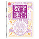 數(shù)字迷宮：中級 培養(yǎng)數(shù)學(xué)思維邏輯思維 提升數(shù)字敏感度 提高數(shù)學(xué)能力趣味益智游戲 提高觀察力專注力記憶力 大開本設(shè)計綠色印刷