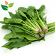 有機菠菜1斤裝有機認證新鮮蔬菜食材匯之星 自然生長(cháng)無(wú)激素無(wú)農殘 500g
