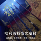 環(huán)球影城周邊哈利波特魔杖正版可發(fā)光赫敏魔法棒接骨木送生日禮物 哈利波特【新款發(fā)光版魔杖】 送禮盒+備用電池+車票+咒語表